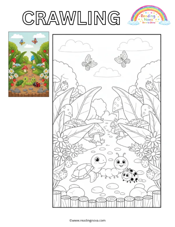 Free colouring page: Crawling