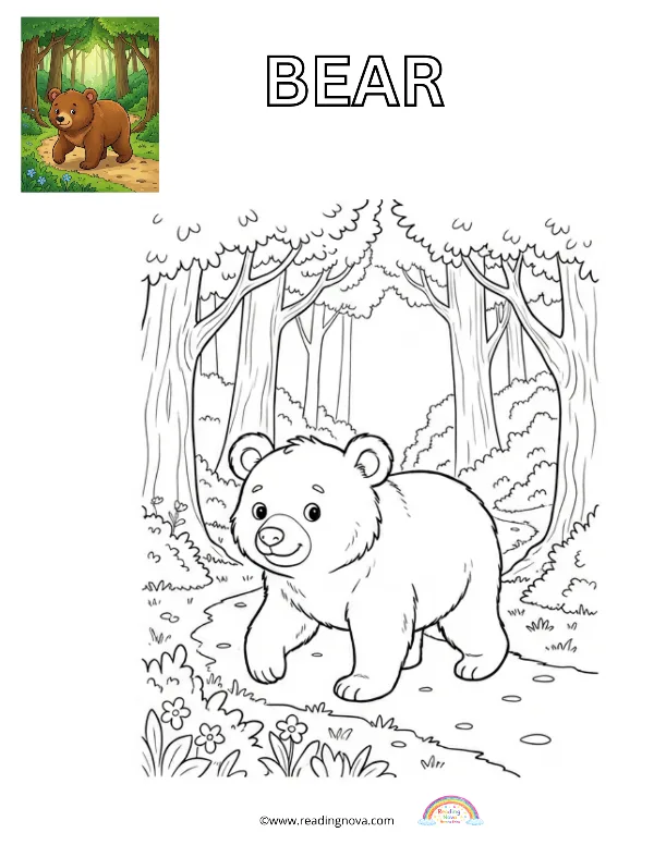 Free colouring page: Bear