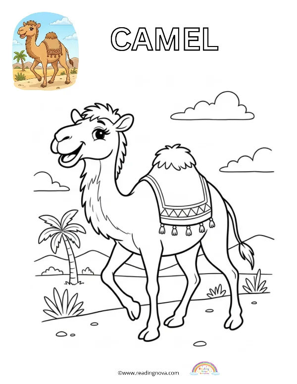 Free colouring page: Camel