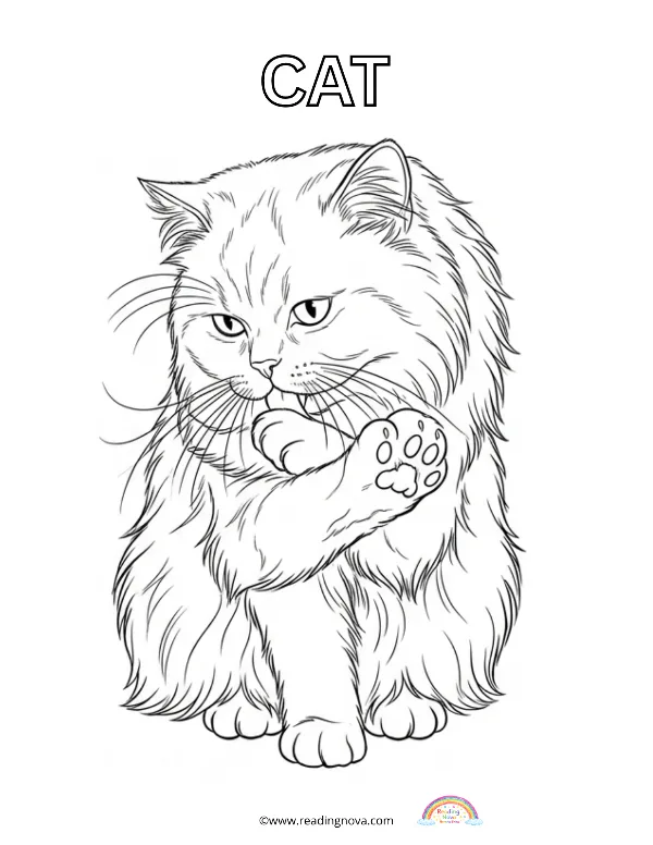 Free colouring page: Cat