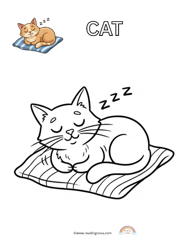 Free colouring page: Cat