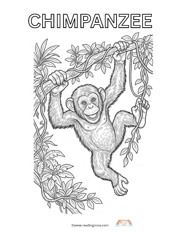 Free colouring page: Chimpanzee