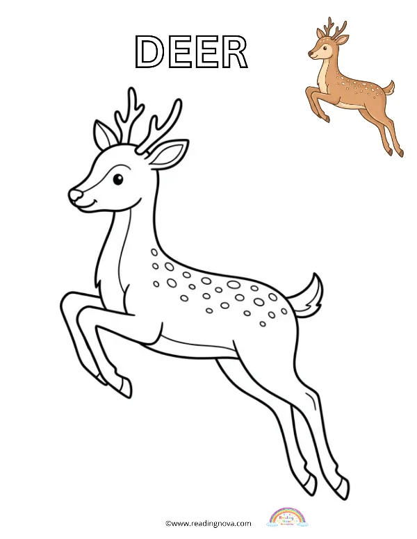 Free colouring page: Deer