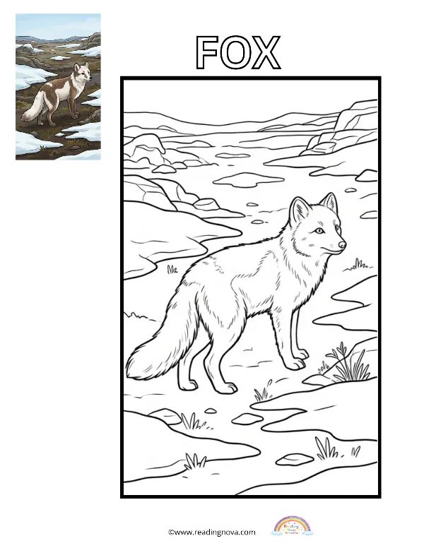Free colouring page: Fox