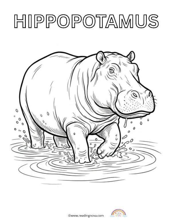 Free colouring page: Hippopotamus