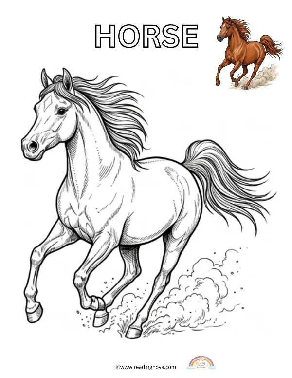 Free colouring page: Horse