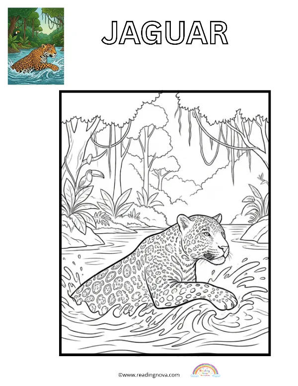 Free colouring page: Jaguar