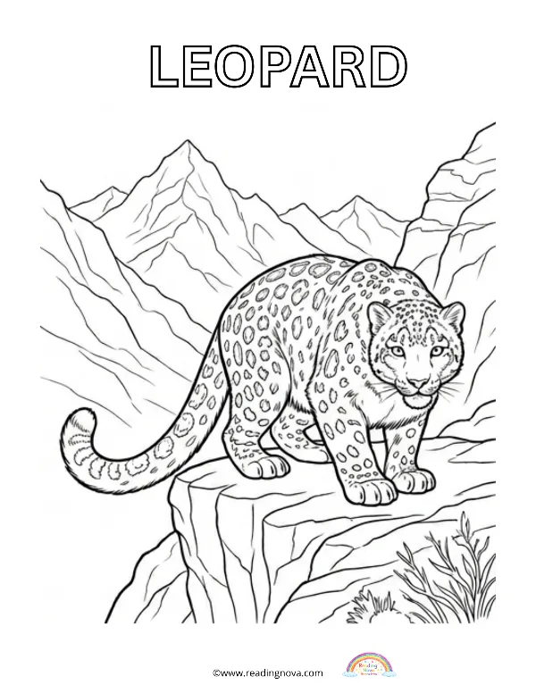Free colouring page: Leopard