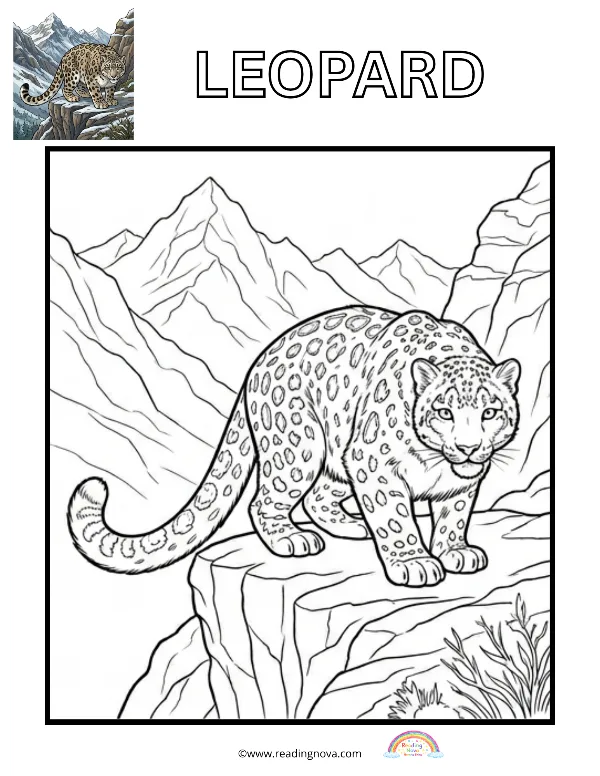 Free colouring page: Leopard
