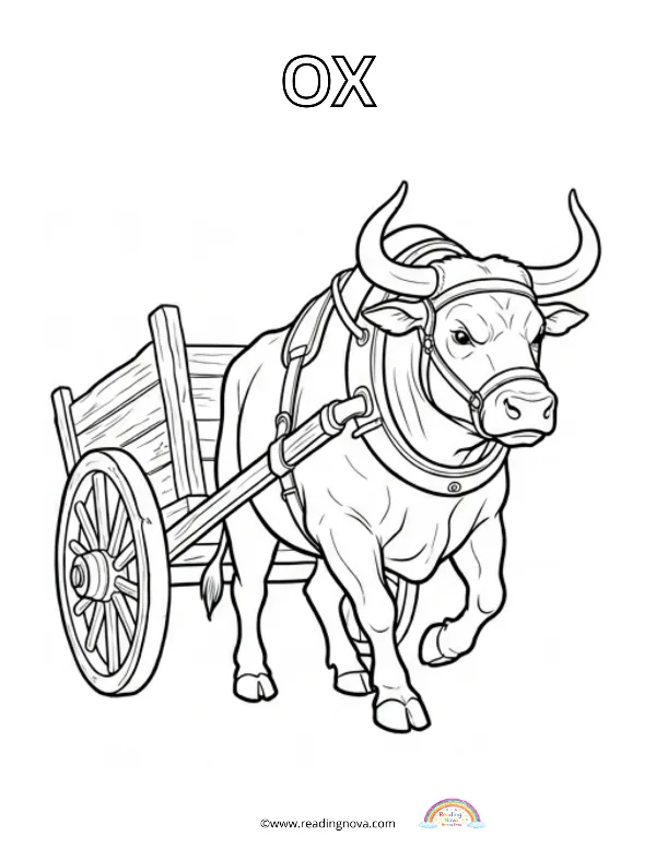 Free colouring page: Ox