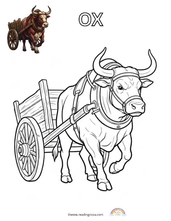 Free colouring page: Ox