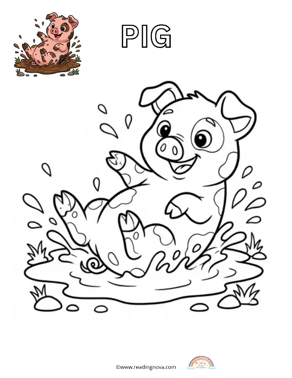 Free colouring page: Pig