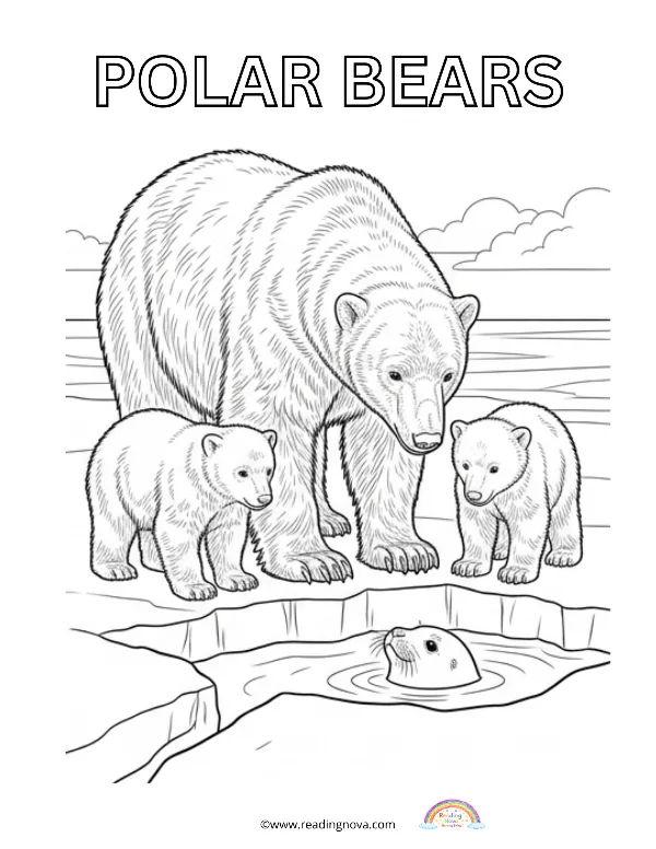 Free colouring page: Polar Bears