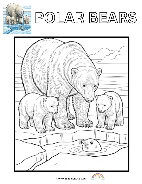 Free colouring page: Polar Bears