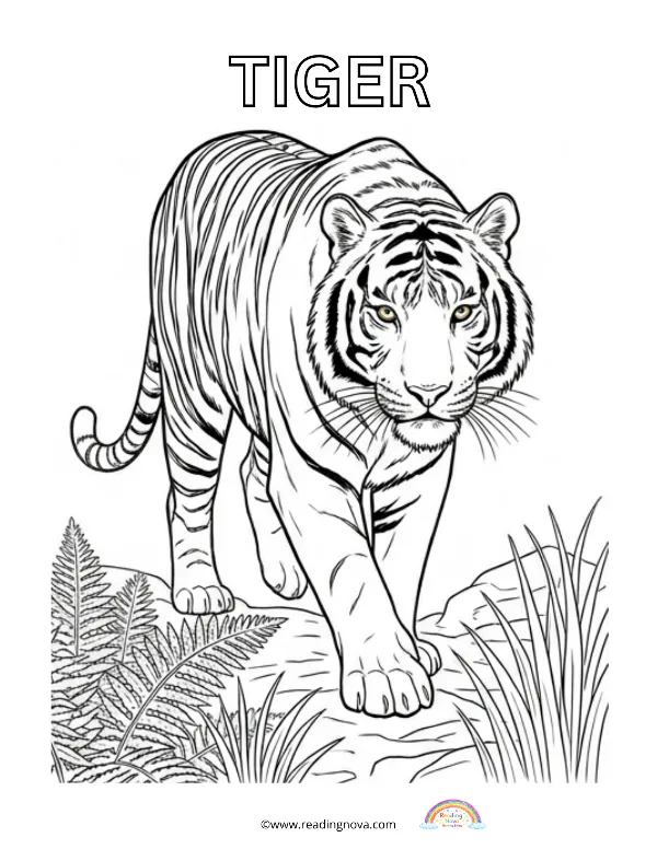 Free colouring page: Tiger
