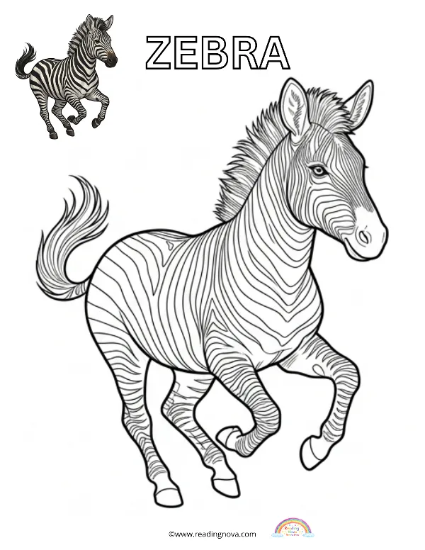 Free colouring page: Zebra