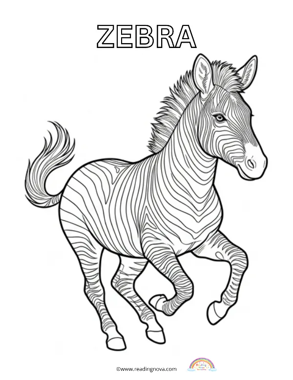 Free colouring page: Zebra