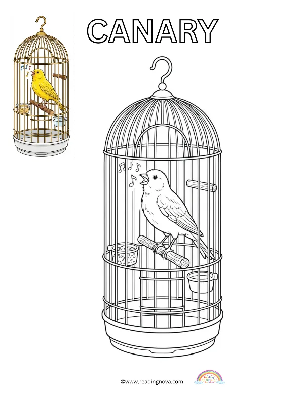 Free colouring page: Canary