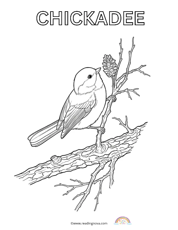 Free colouring page: Chickadee