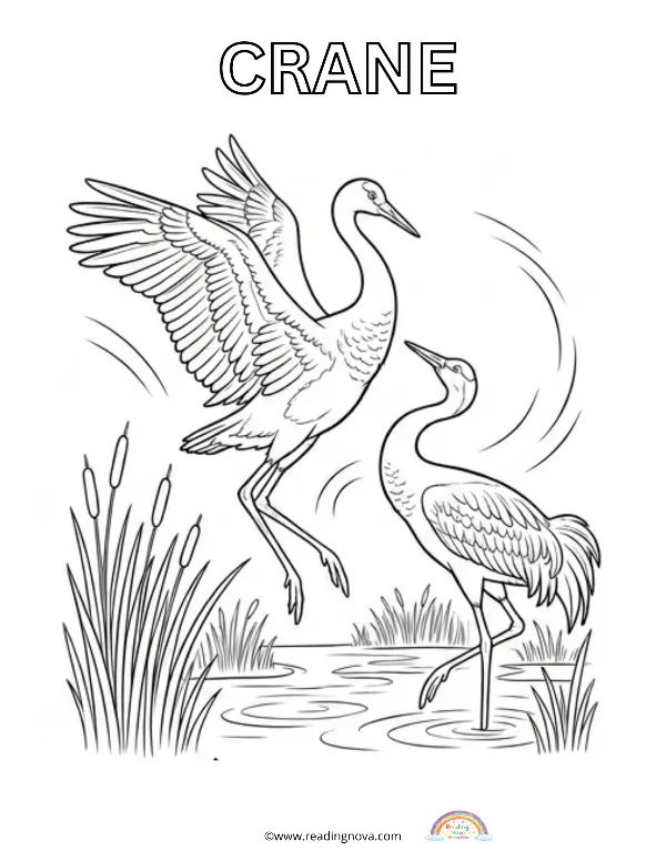 Free colouring page: Crane