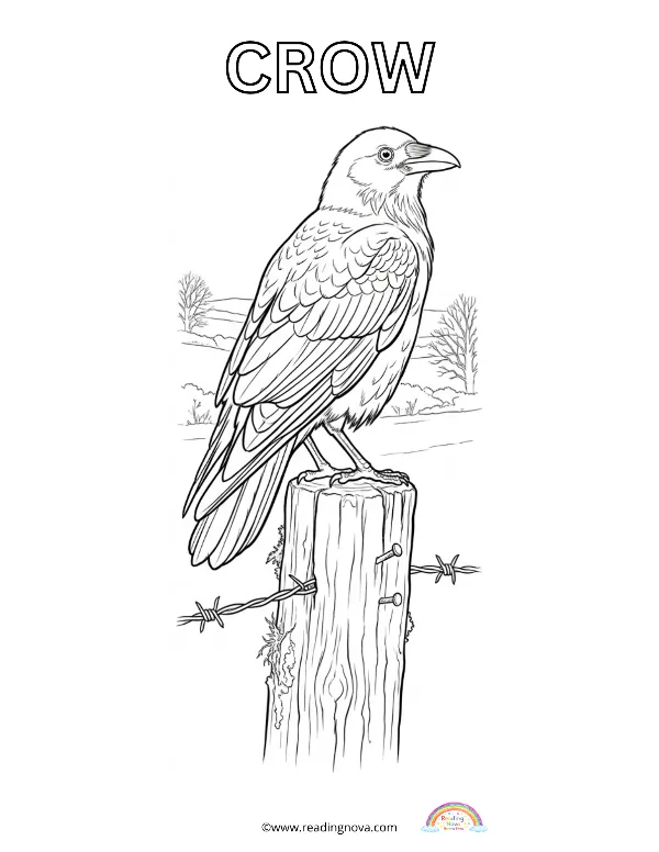 Free colouring page: Crow