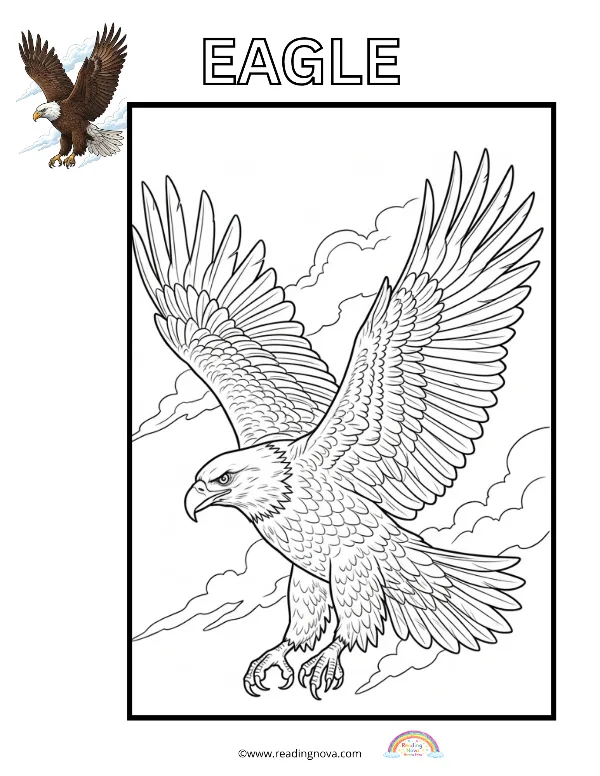 Free colouring page: Eagle