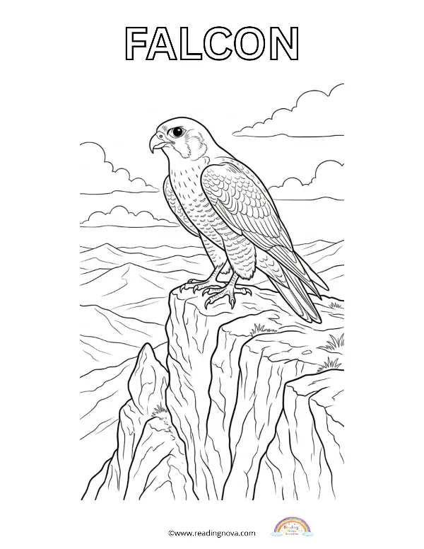 Free colouring page: Falcon