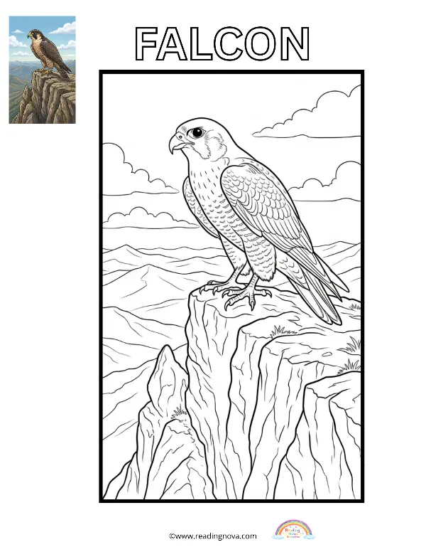 Free colouring page: Falcon