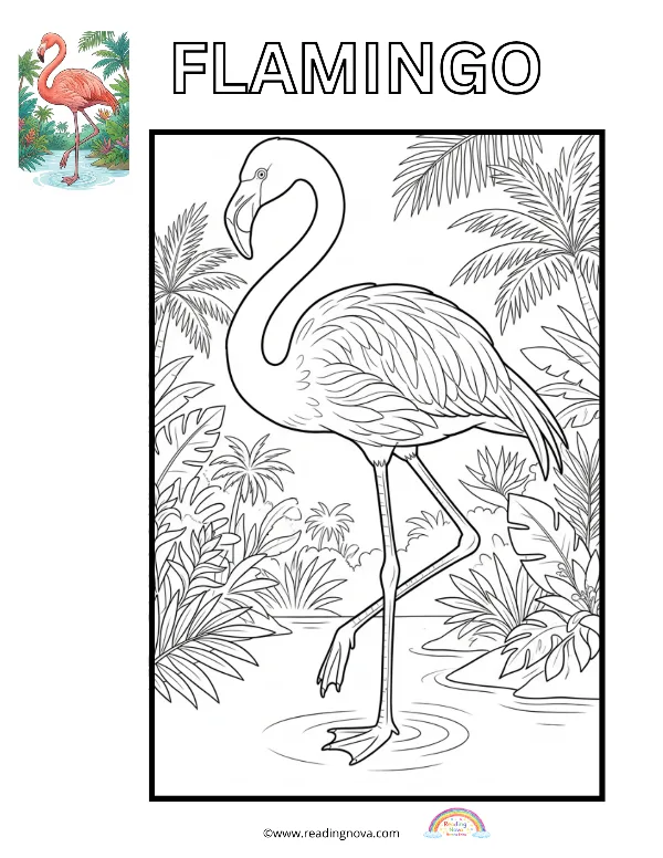 Free colouring page: Flamingo