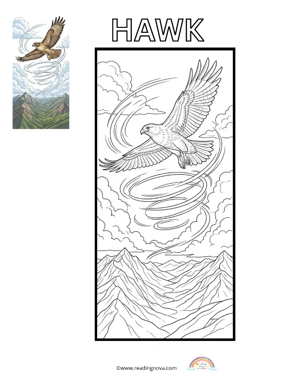 Free colouring page: Hawk