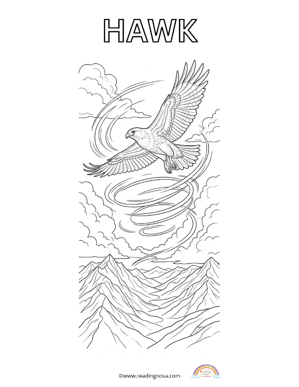 Free colouring page: Hawk