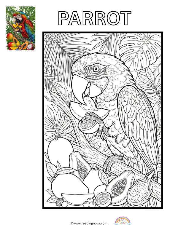 Free colouring page: Macaw Parrot