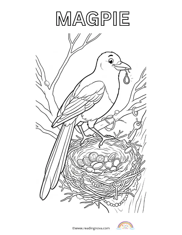 Free colouring page: Magpie
