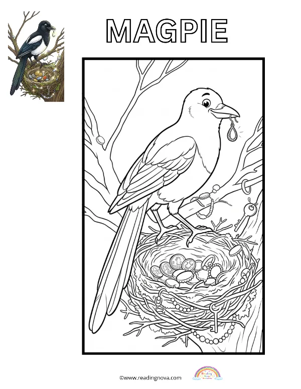 Free colouring page: Magpie