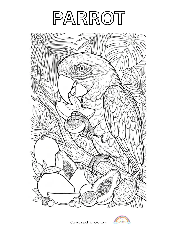 Free colouring page: Parrot