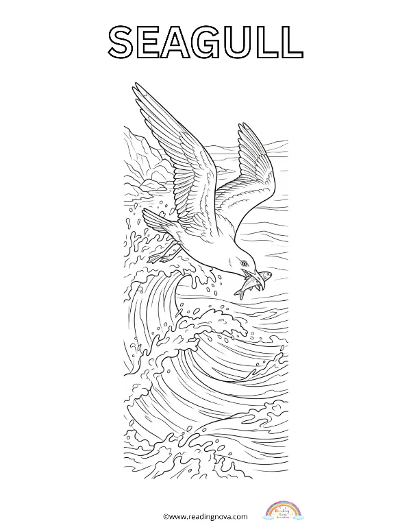 Free colouring page: Seagull