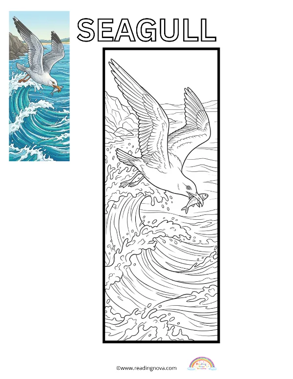 Free colouring page: Seagull