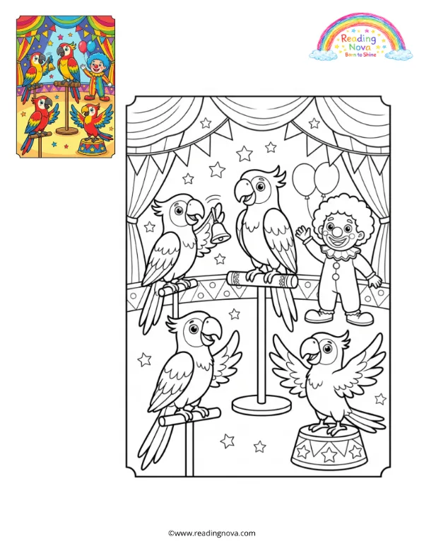 Free colouring page: Parrots Performing a Circus Show