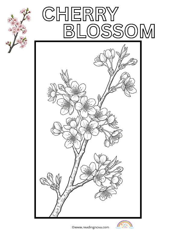 Free colouring page: Cherry Blossom