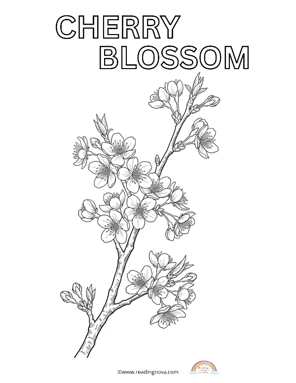 Free colouring page: Cherry Blossom