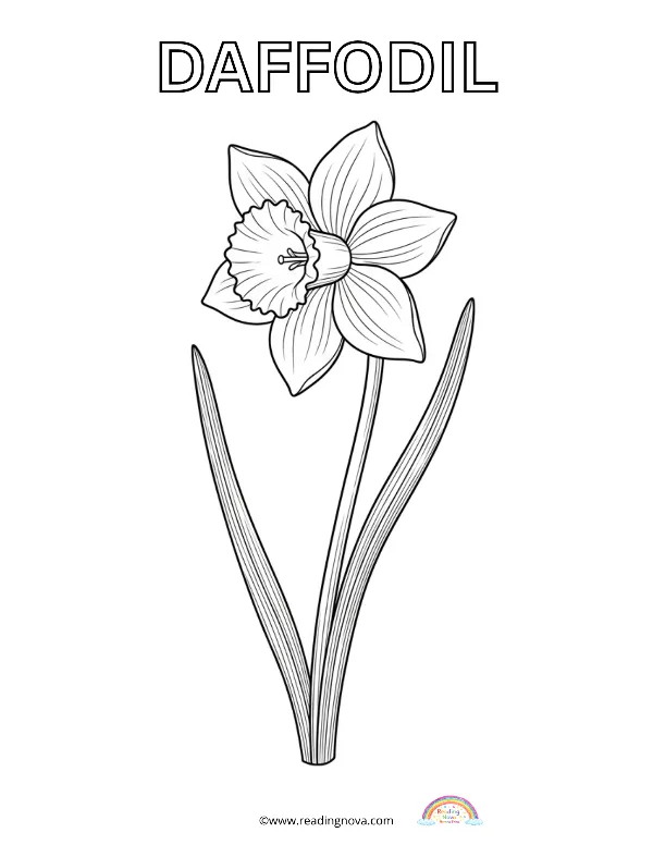 Free colouring page: Daffodil