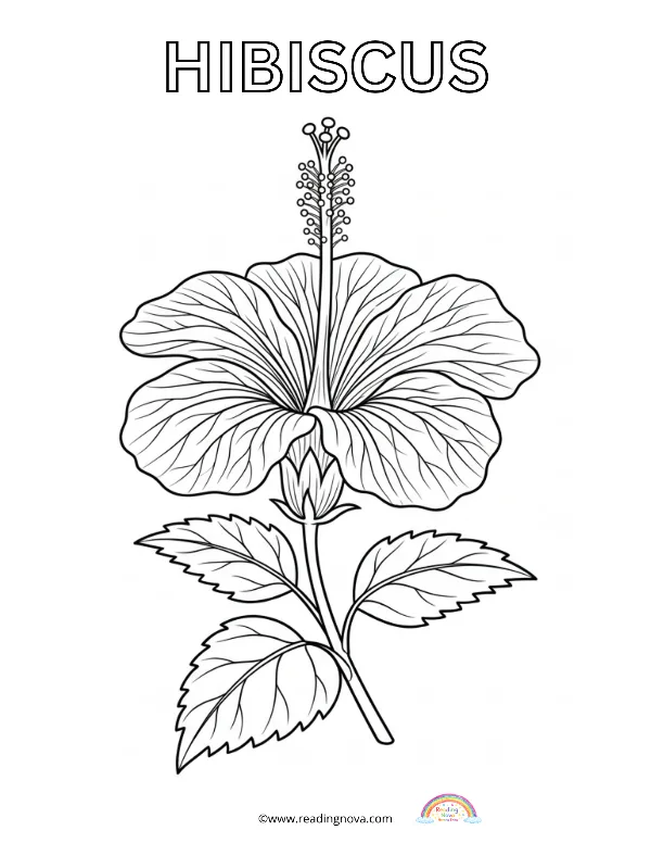 Free colouring page: Hibiscus