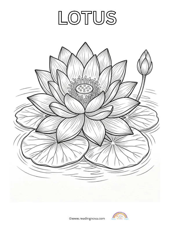 Free colouring page: Lotus
