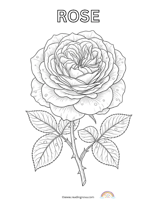 Free colouring page: Rose