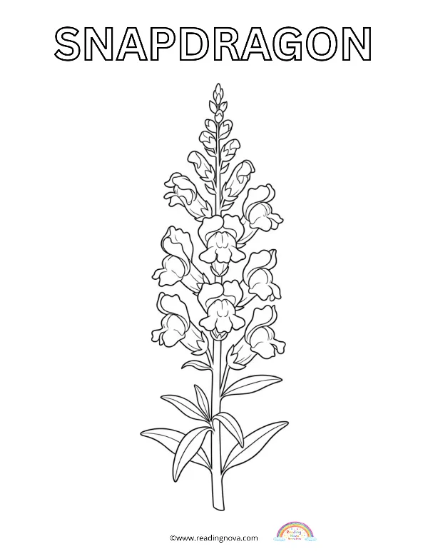 Free colouring page: Snapdragon