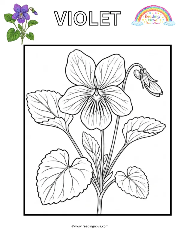Free colouring page: Violet