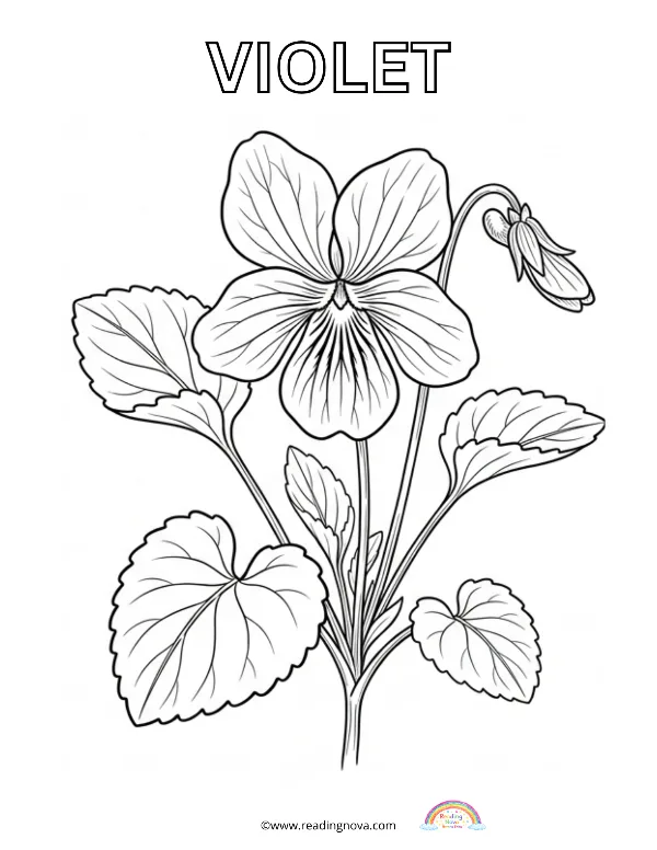 Free colouring page: Violet