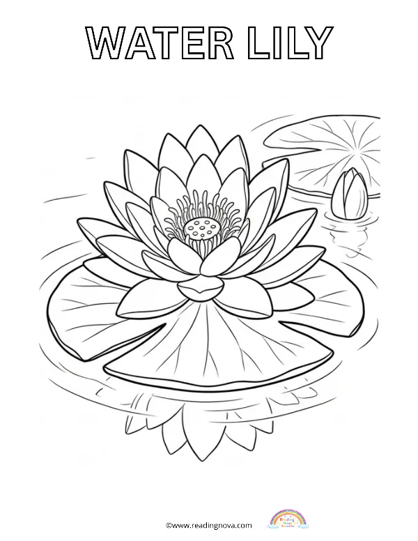Free colouring page: Water Lily