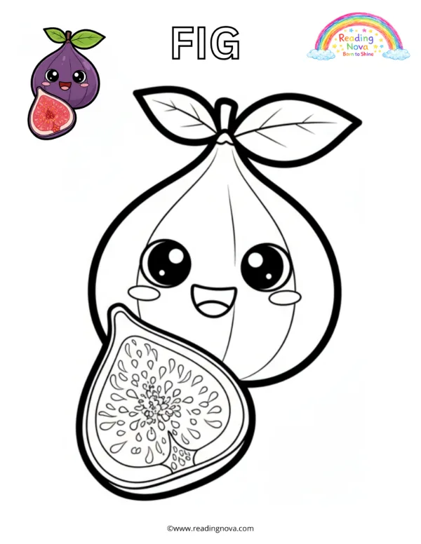 Free colouring page: Fig