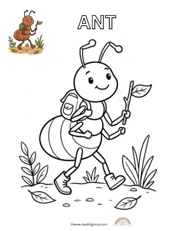 Free colouring page: Ant